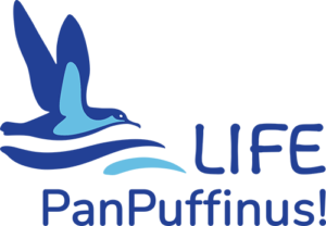 Logo_PanPuffinus_Home
