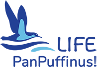 LIFE PanPuffinus